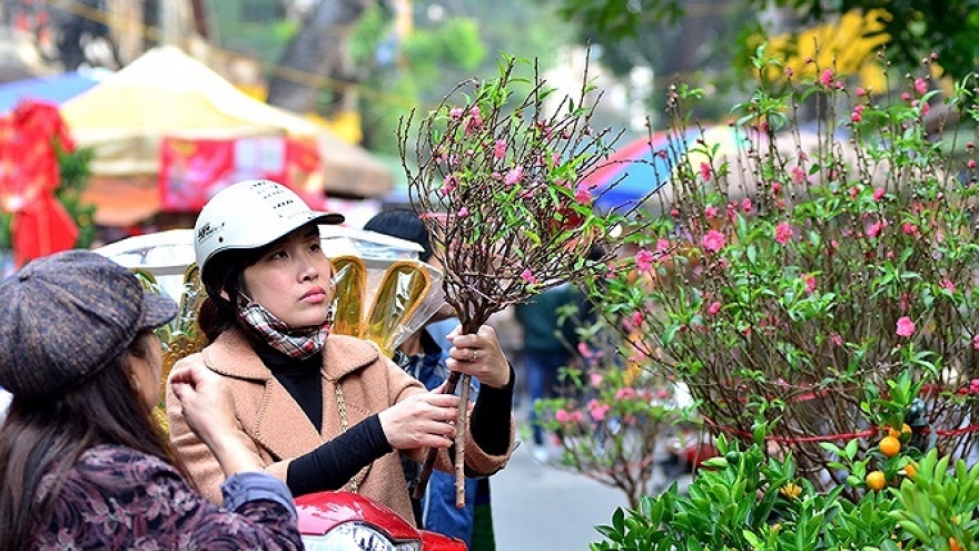 Seven-day Lunar New Year break proposed