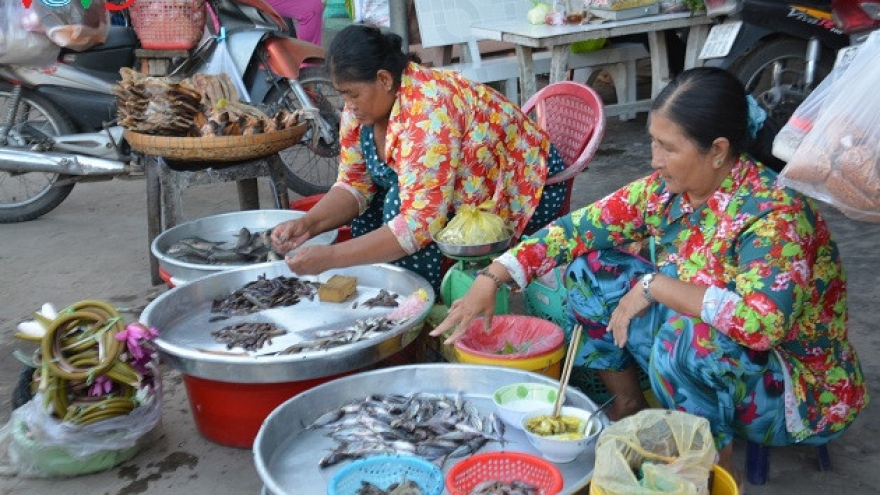 Mekong Delta in flood season