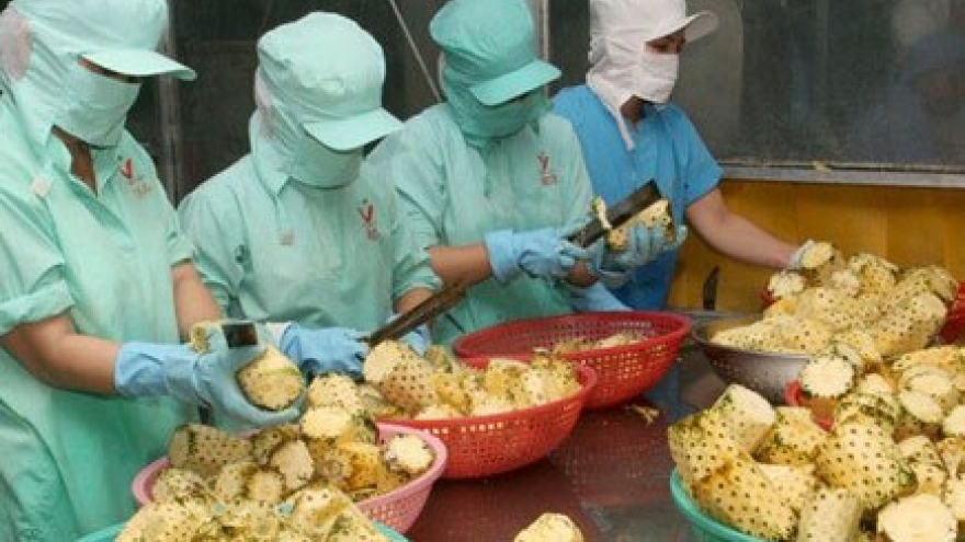 Japanese firms suggested pouring investments into agriculture