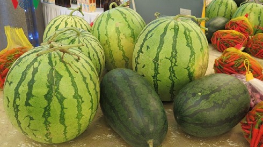 Vietnam, China businesses partner in watermelon consumption