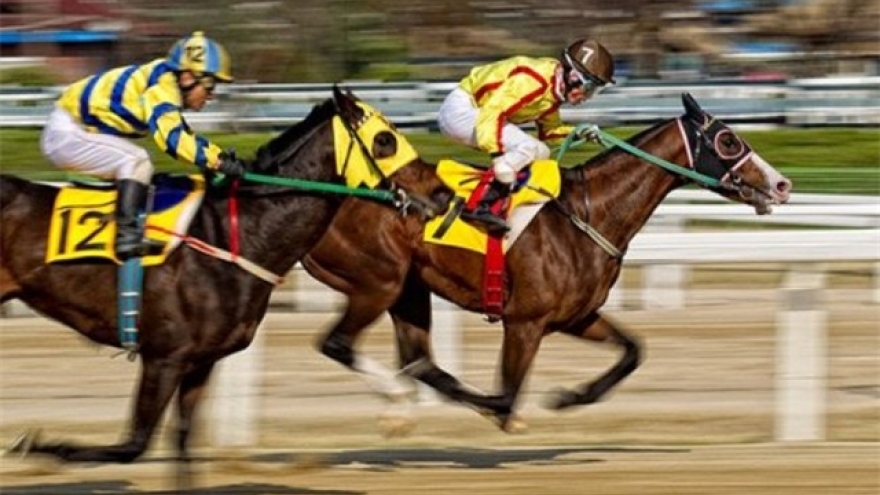 Korean firm plans US$1.5-billion racecourse complex Vinh Phuc