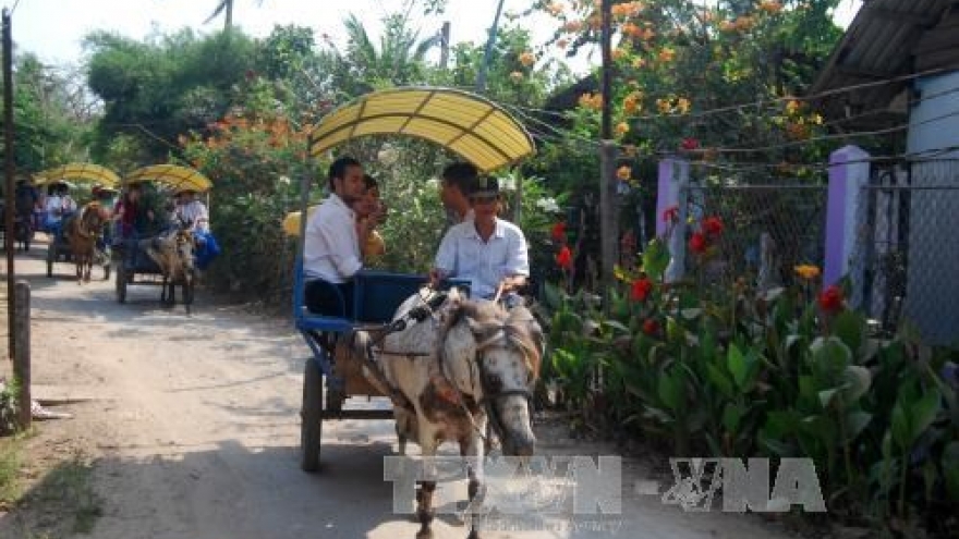 Ben Tre diversifies tourism products