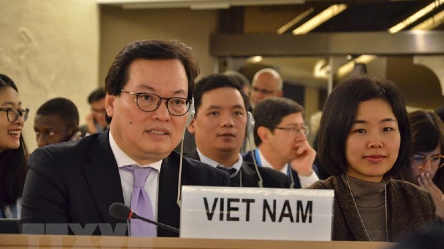 Vietnam will work harder to ensure human rights: ambassador