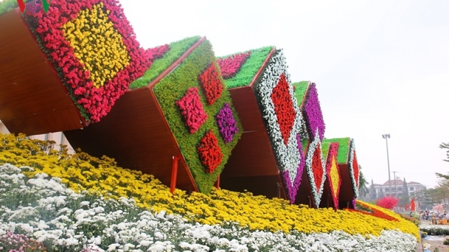 Visiting colourful flower road in Yen Bai province for Tet