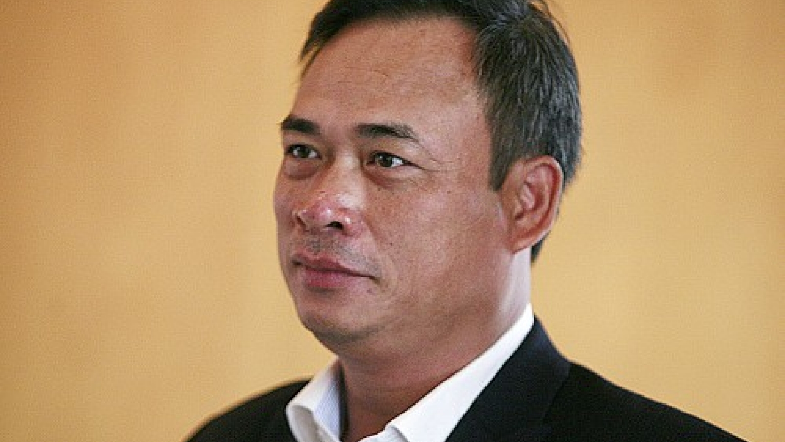 Vietnam’s environment protection chief dismissed over Formosa disaster