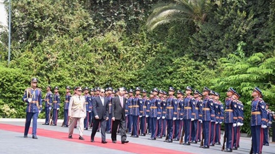 Vietnam,Egypt hold high-level talks