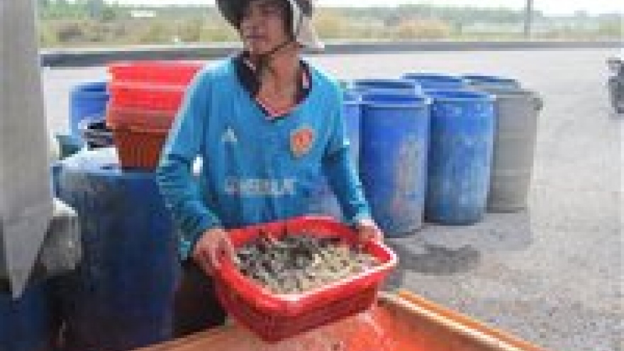 Vietnam: Fish and fishery exports to US, EU continue to lag 