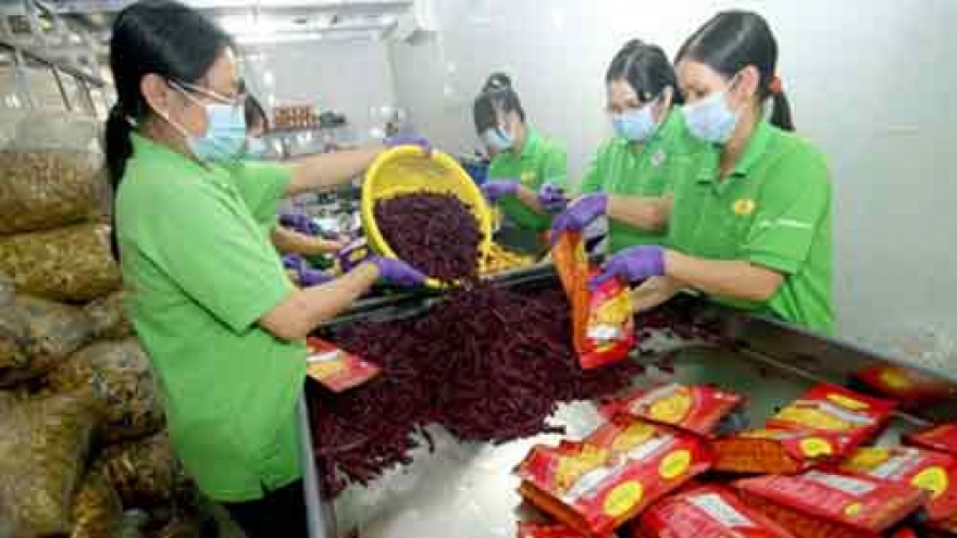 Institutional renovation to enhance private economic sector