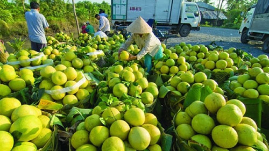 Fruit-vegetable export value surpasses US$2.1 billion