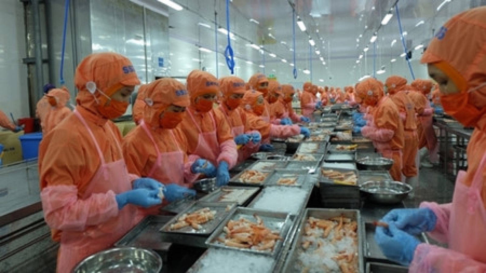 Economic restructuring, growth model reforms for sustainable development