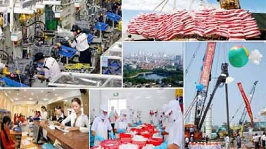 
        Vietnam’s manufacturing sector resilient: HSBC
                              