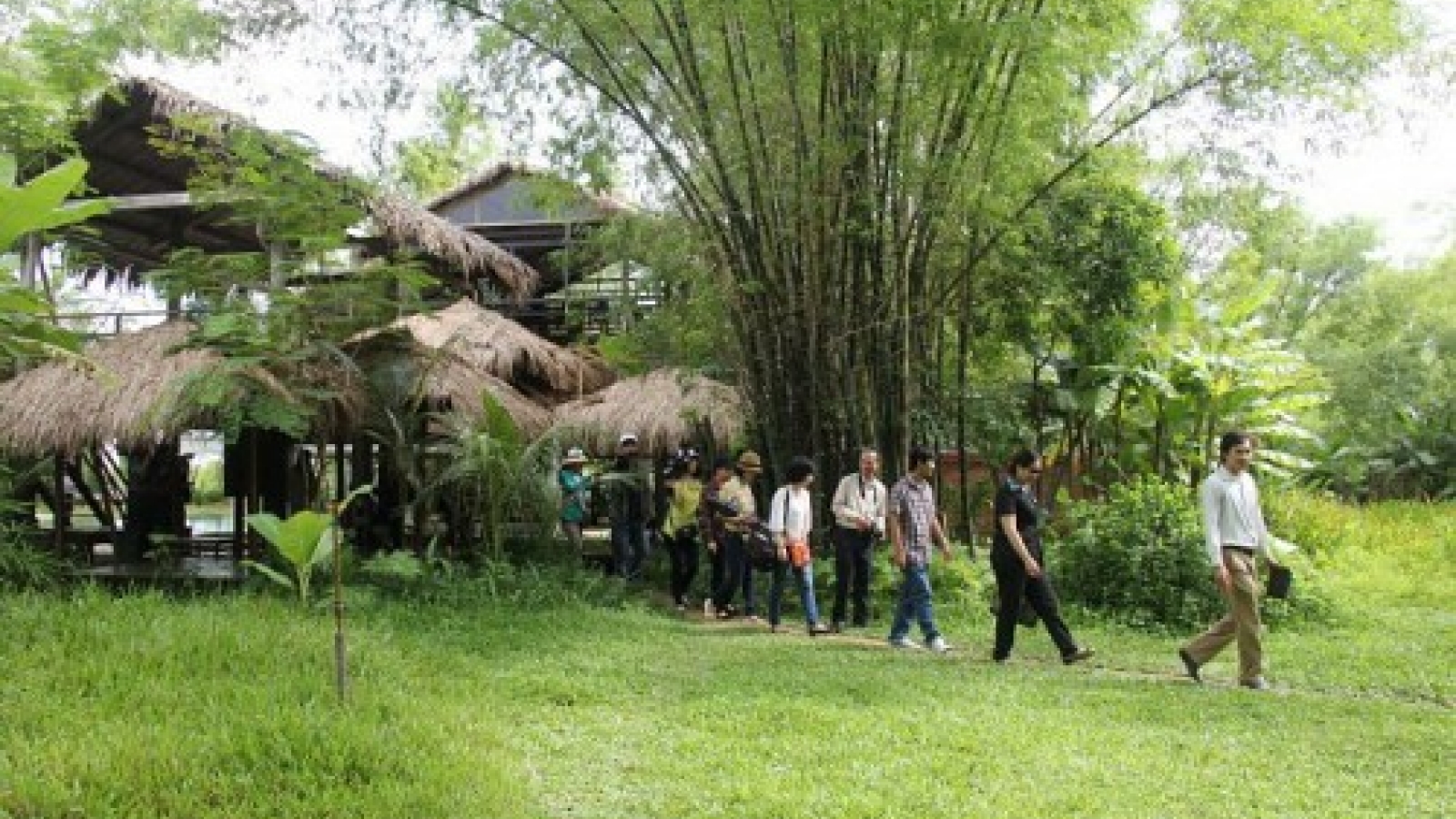 Erosion-prone village near Hoi An now a thriving ecotourism site