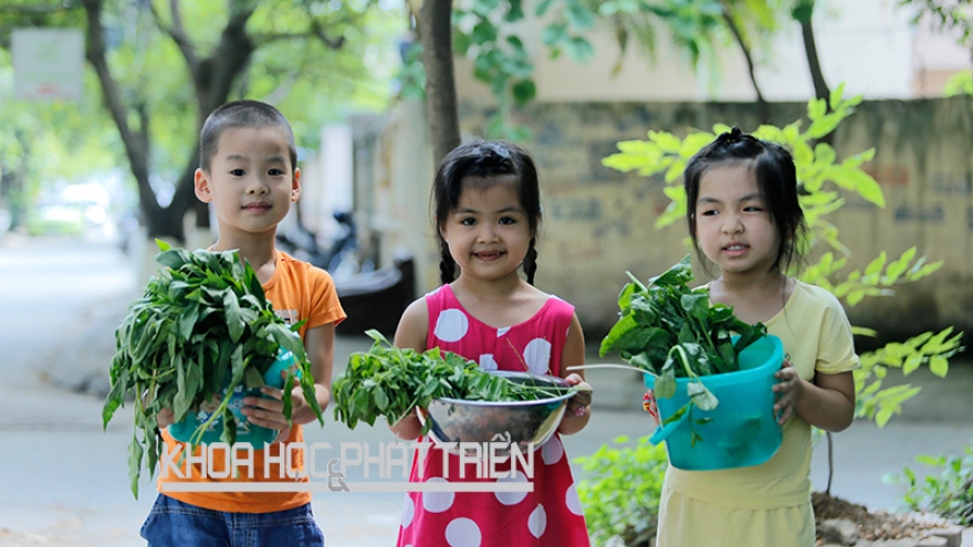 How do Vietnamese families spend their money on education?