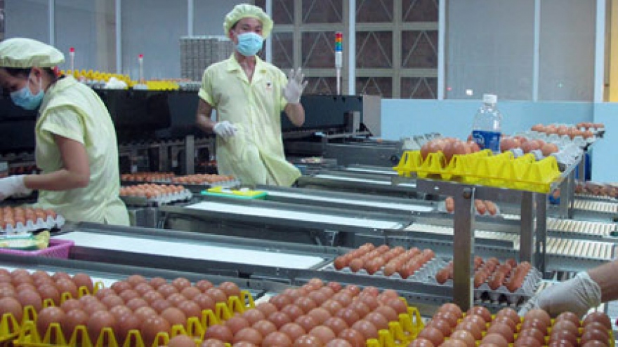 Sugar, poultry egg imports to rise in 2015