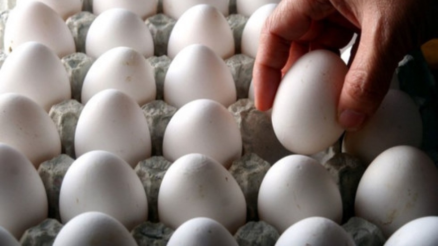 Scramble for the egg market