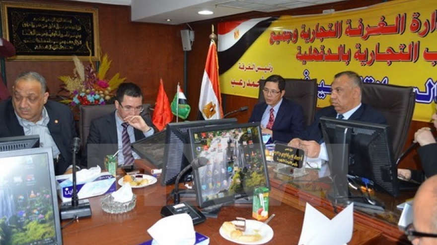 Vietnam promotes trade in Egypt