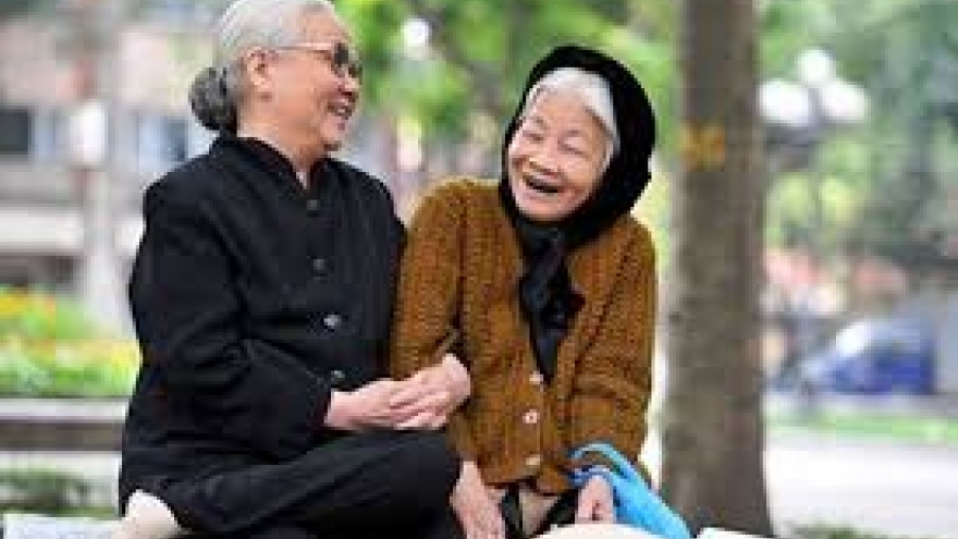 Population ageing challenges Vietnam