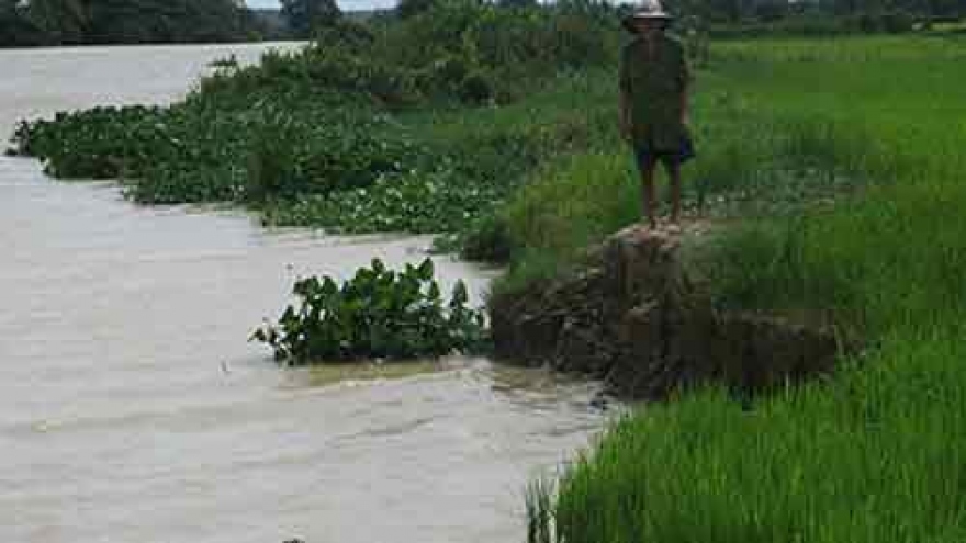 
        Long An: About 840 households vulnerable to riverside erosion
                              