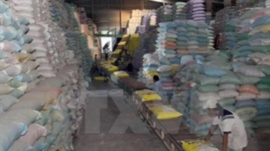 Can Tho economy expands at fast pace in six months