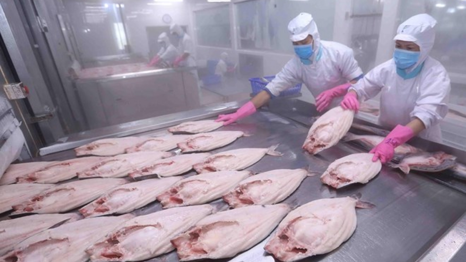 EVFTA shows Vietnam’s policy of supporting free trade: WB