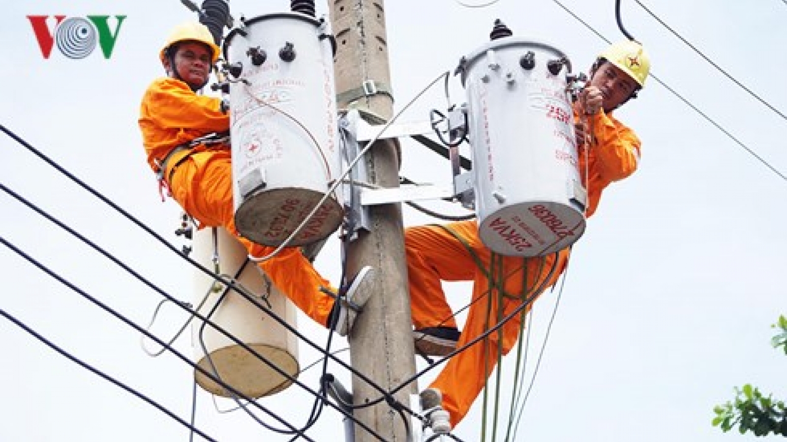 EVN records 11.4 per cent surge in pre-tax profits