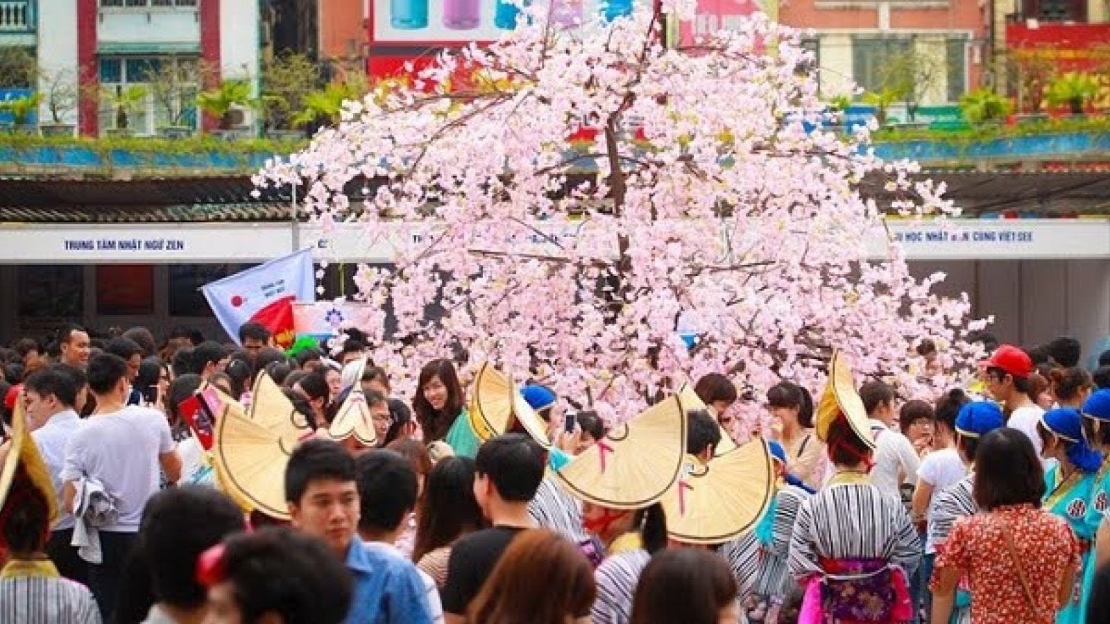 Danang to host Vietnam-Japan cultural exchange festival