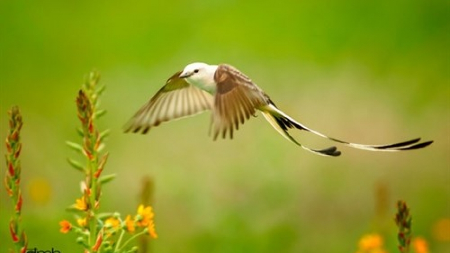 Photo exhibit to display wild beauty