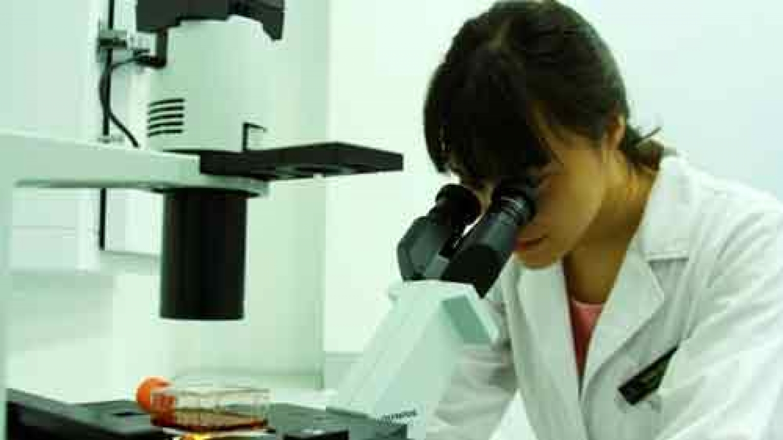 Experts share new technique for genetic disease detection