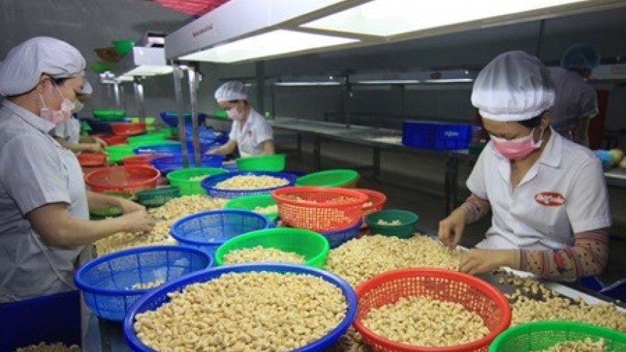 Exporters' outlook for 2016 remains mixed