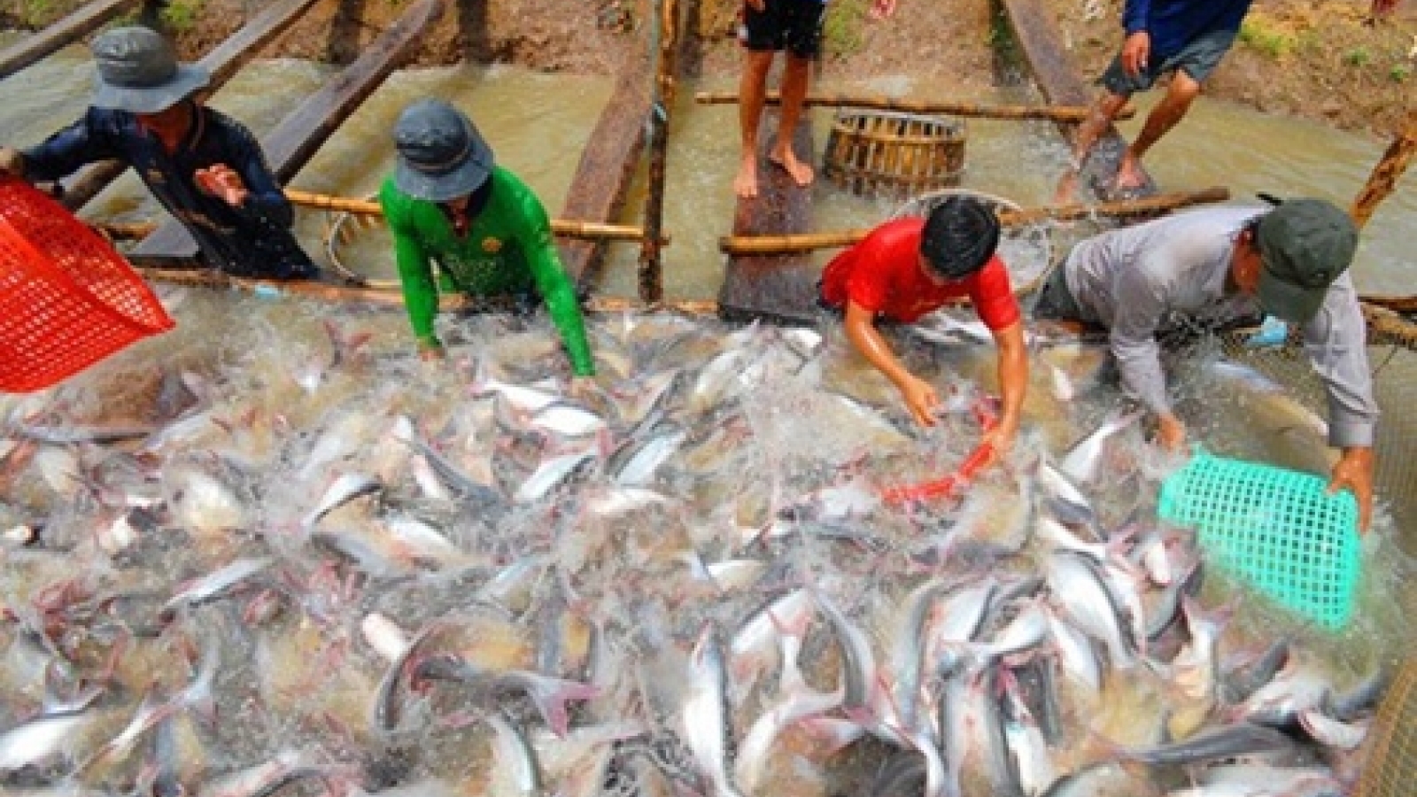 Farmed seafood exports likely to reach US$30-35 bil by 2030