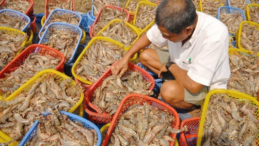 PM sets bar high for shrimp exports