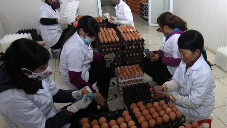 Hanoi sets export growth target at 5%