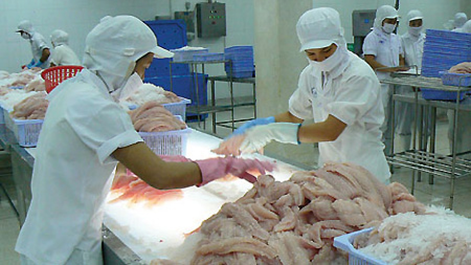 Vietnam-Brazil trade turnover exceeds US$2 billion