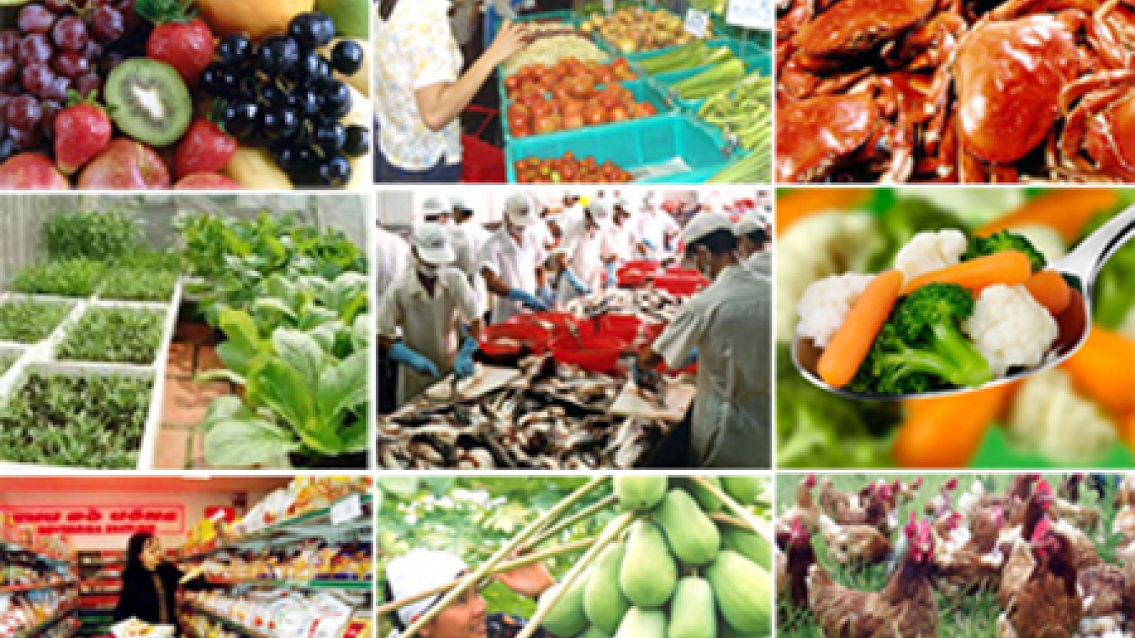 Agri-forestry-fishery exports to hit US$31 billion