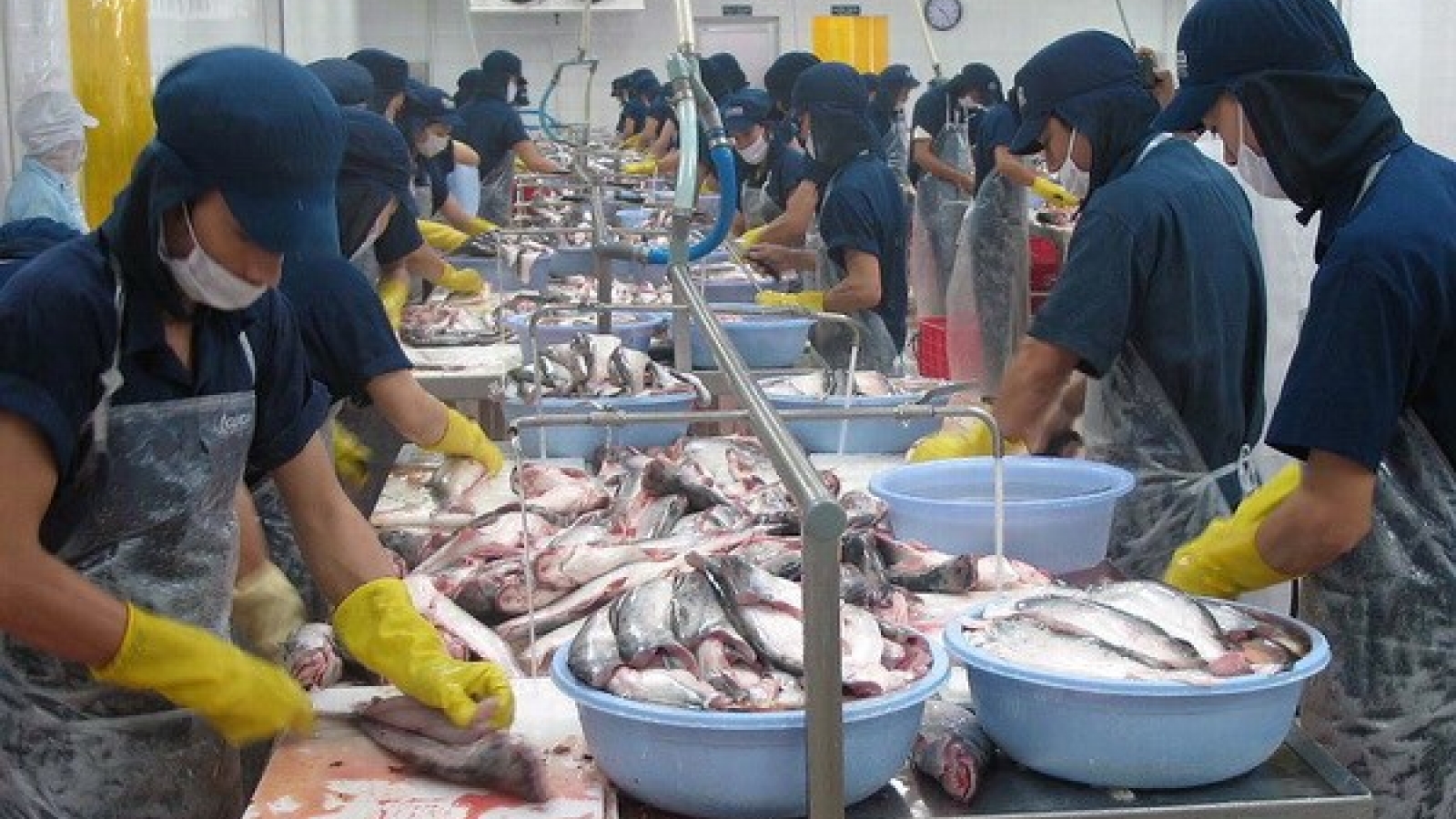 Kien Giang boosts exports in remaining months
