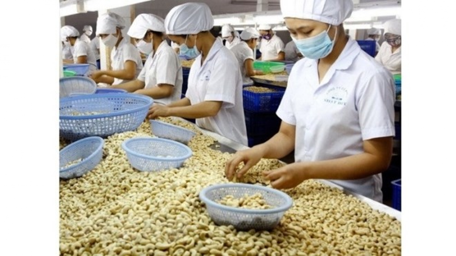 PM gives solutions to boost production, exports