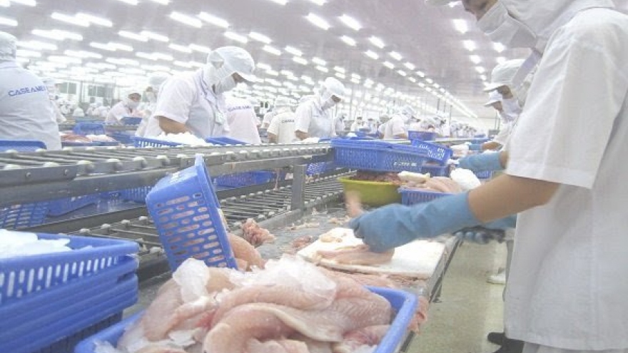 Export spike stimulates firms to invest in tra fish