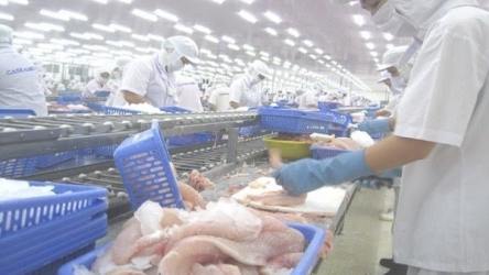 Export spike stimulates firms to invest in tra fish