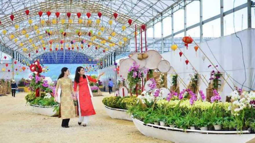 Spring flower festival proves to be a hit in Ninh Binh during first days of Tet