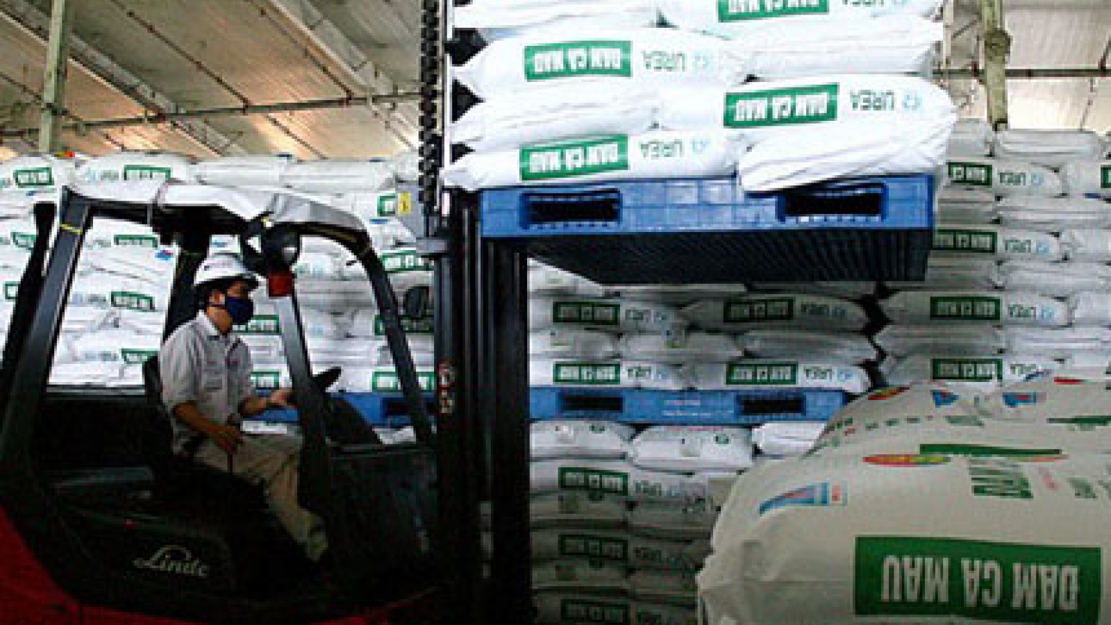 Fake fertiliser plagues market