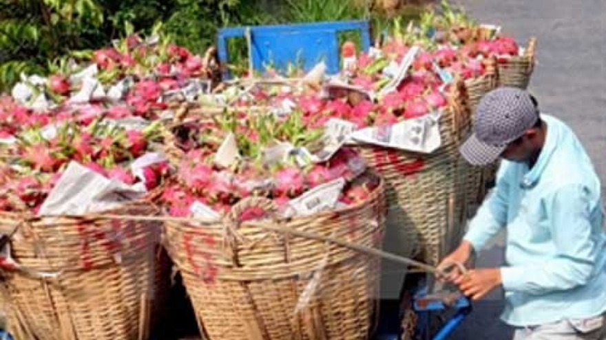 Competitiveness of Vietnam farm produce falling fast