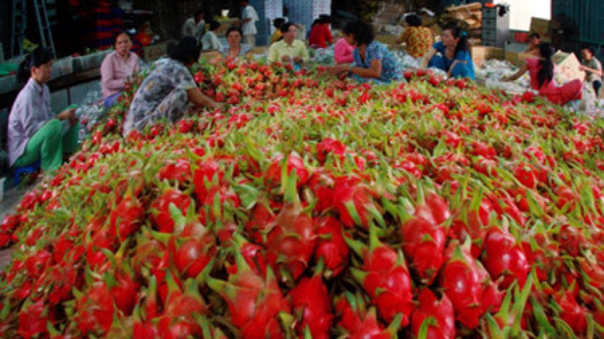 Vietnamese farm produce exports should prosper in 2016