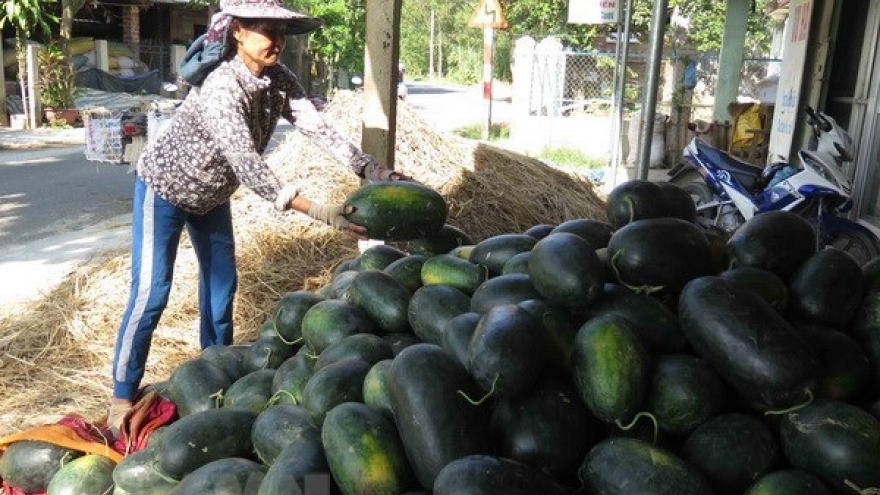 Vietnamese farm produce seeks to reach French customers