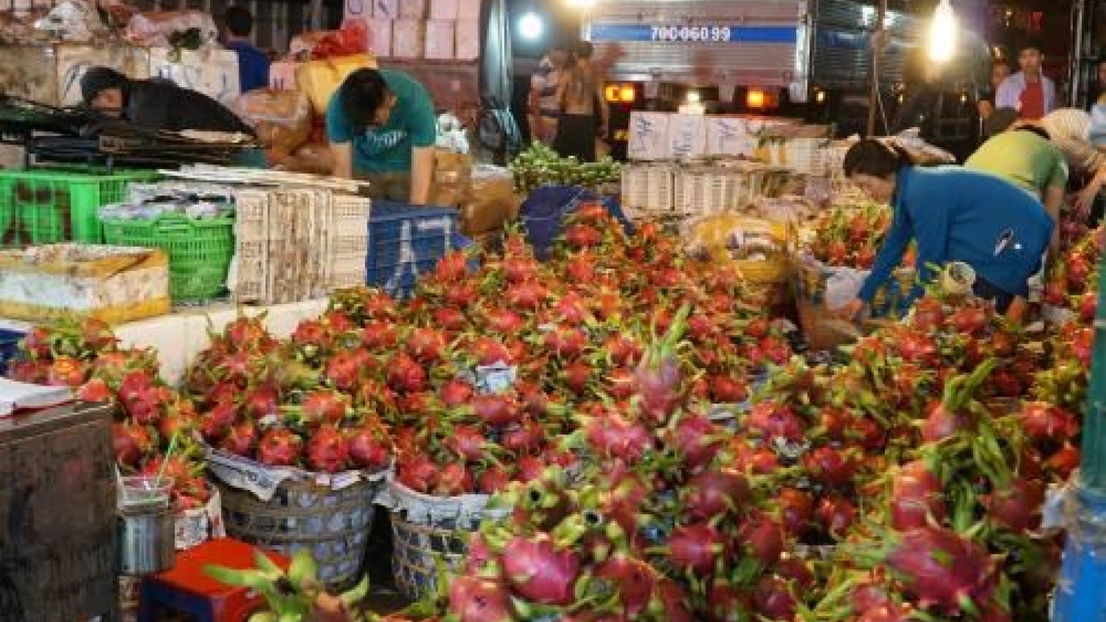 Vietnam, Canada boost trade ties