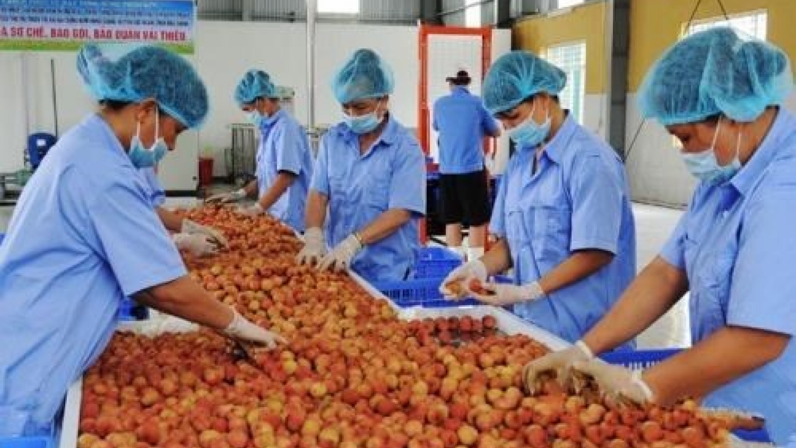 Cultivation law promotes farm produce’s competitiveness