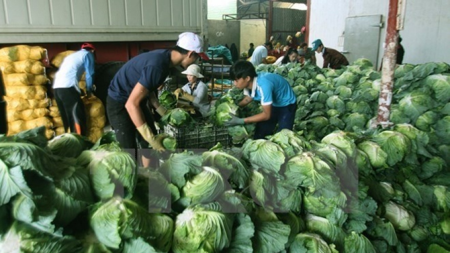 Vietnam targets US$4.5 billion from farm produce exports by 2020