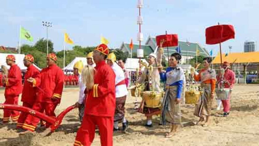 Thai farmers use occasion of Royal Ploughing Day to start crops