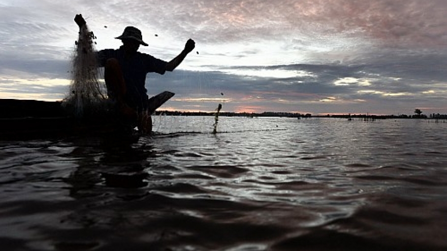 In Vietnam’s Mekong Delta, floods mean good news for farmers 