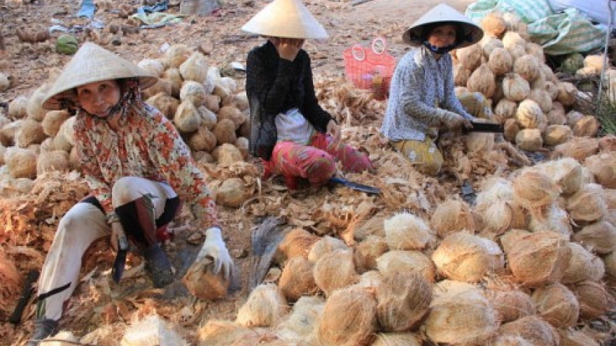 
        Fruit processors resort to imports in Vietnam’s ‘coconut kingdom’
                              
