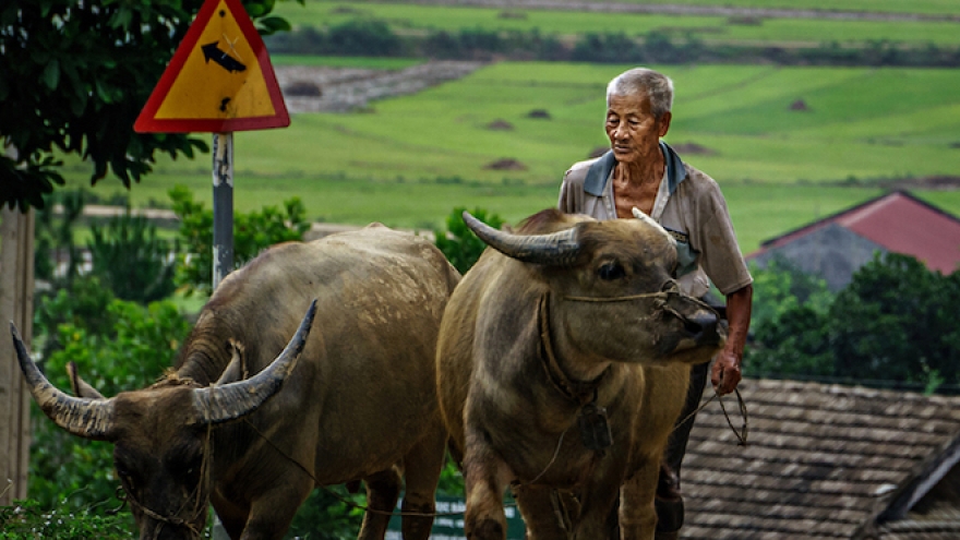 Vietnam aims to double farmers’ income by 2020 in ambitious plan